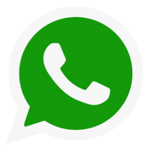 get-logo-whatsapp-png-pictures-1